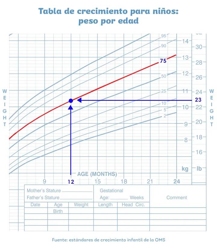 marcador vender Artesano Percentil del bebé y tabla de crecimiento: los primeros dos años | Dodot