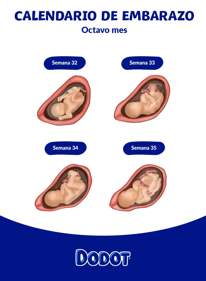 Movimientos Fetales A Que Mes Se Siente Un Bebe Libro Meses Desde