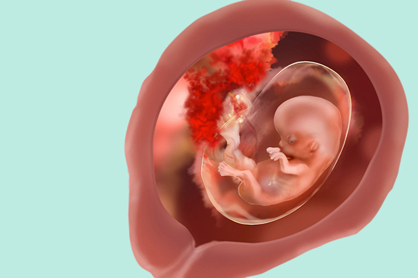 12 de embarazo: síntomas bebé | Dodot