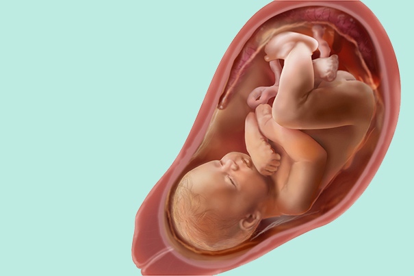 Semana 34 de embarazo: síntomas y desarrollo del bebé