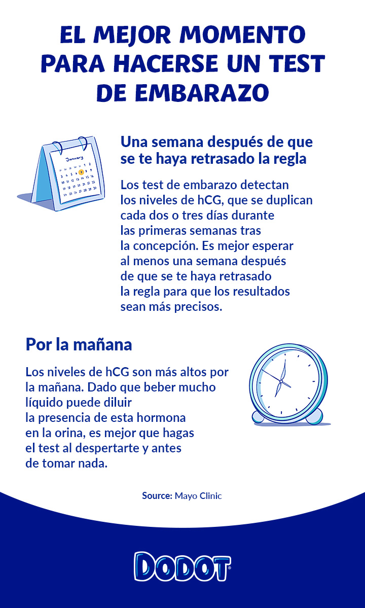 Al cuanto tiempo de embarazo se puede hacer la prueba sale