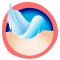 pluma