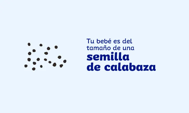 Embarazo semana a semana (Spanish Edition)