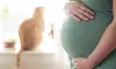 Toxoplasmosis en el embarazo: prevención y cuidados
