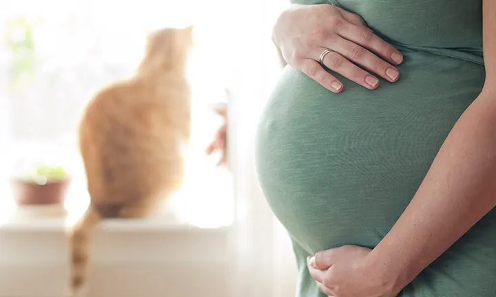 Toxoplasmosis en el embarazo: prevención y cuidados