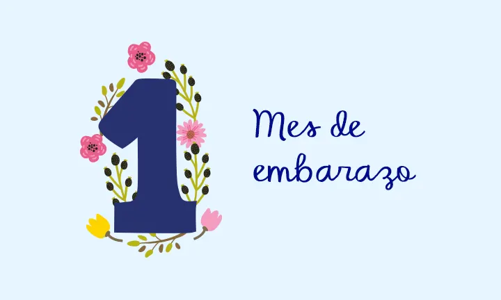 Cuantos meses de retraso para saber si estas online embarazada