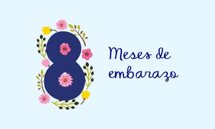 9 meses vistos por dentro