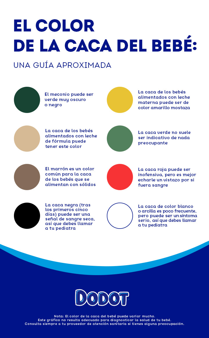 Caca De Bebe La Guia Definitiva Dodot