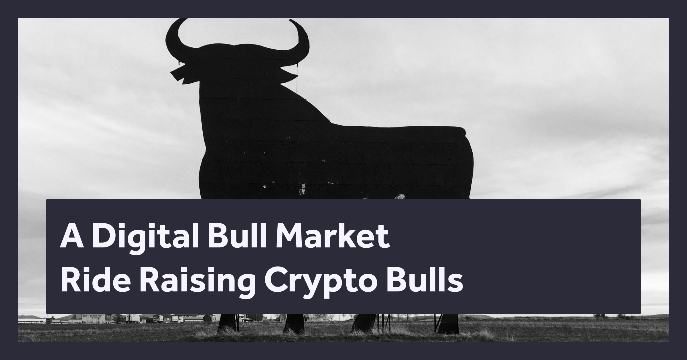 A Digital Bull Market Ride Raising Crypto Bulls
