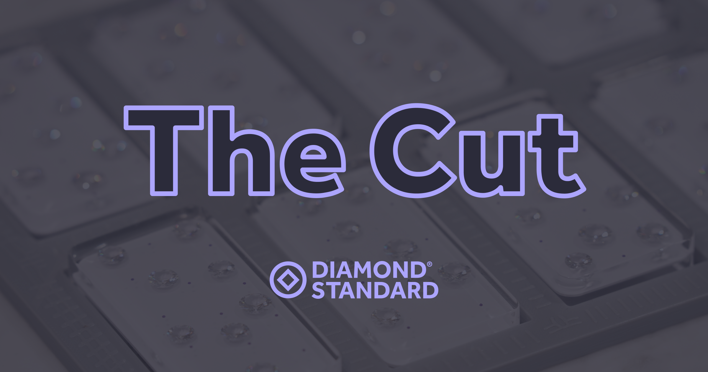 Welcome to The Cut