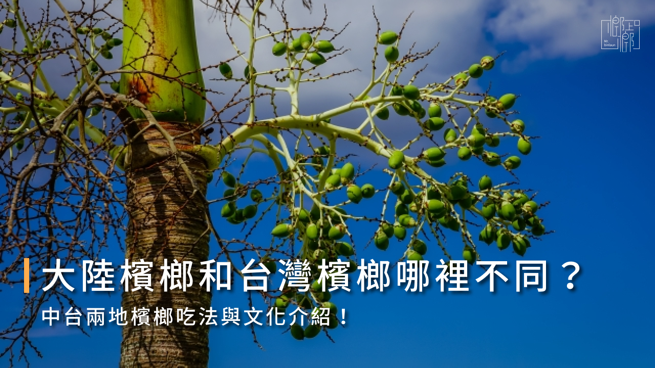 大陸檳榔好吃嗎?大陸檳榔/台灣檳榔文化、吃法差異一次看!
