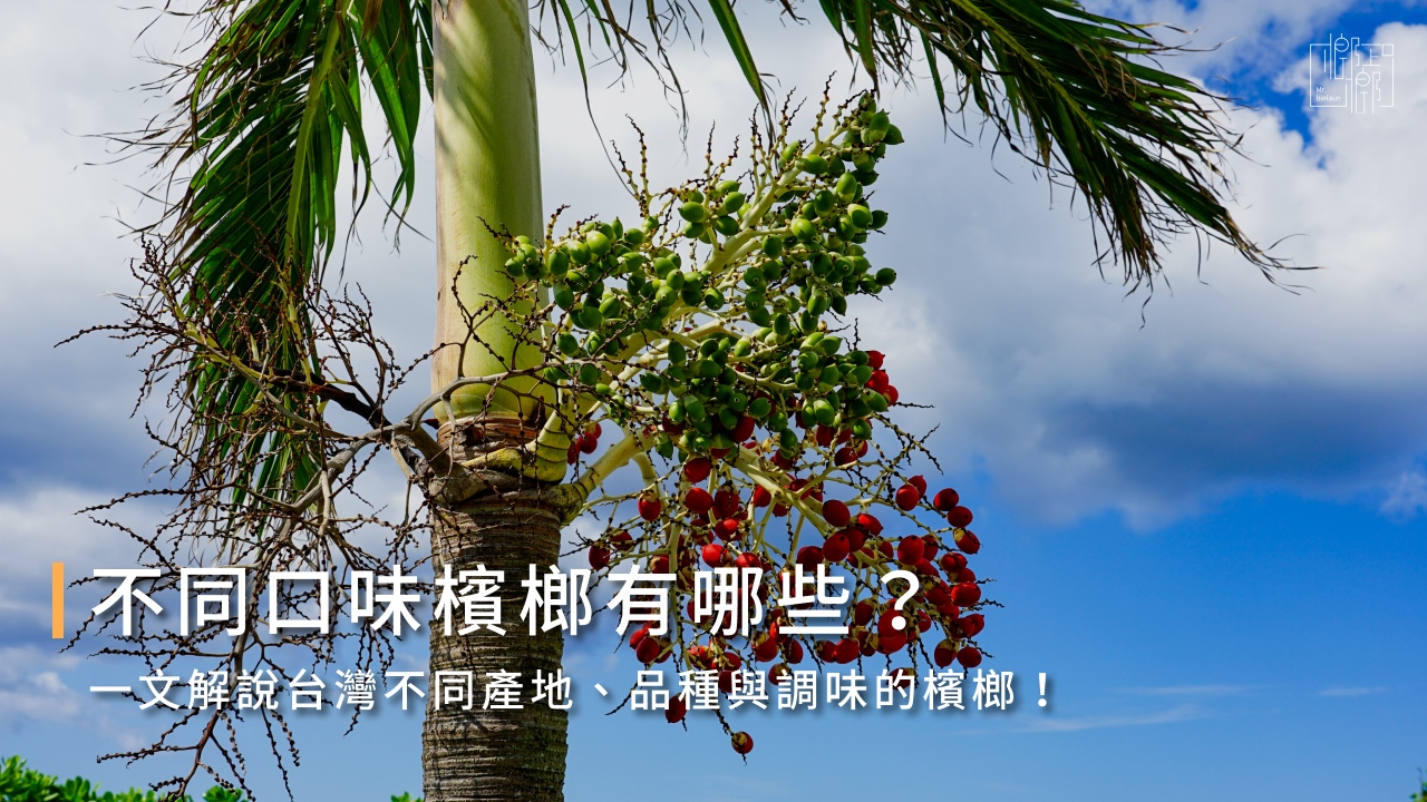 哪種口味的檳榔最好吃?一次掌握檳榔口味、等級、調味種類!