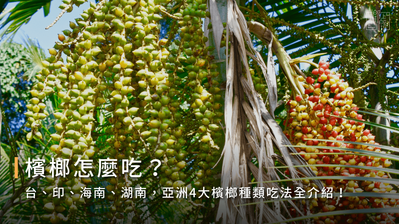 檳榔怎麼吃？台、印、海南、湖南，亞洲4大檳榔種類吃法全介紹！