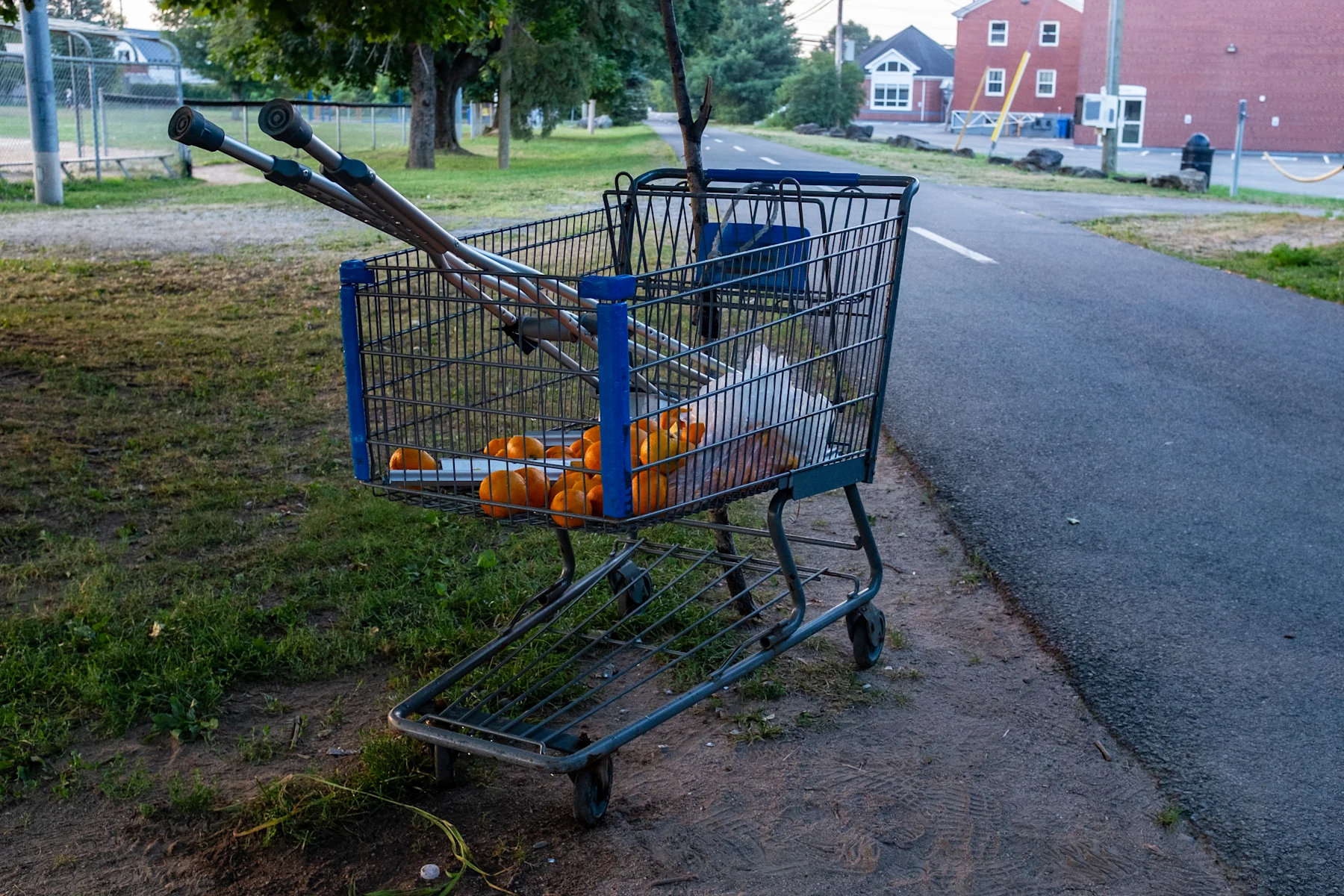 Shopping cart oranges