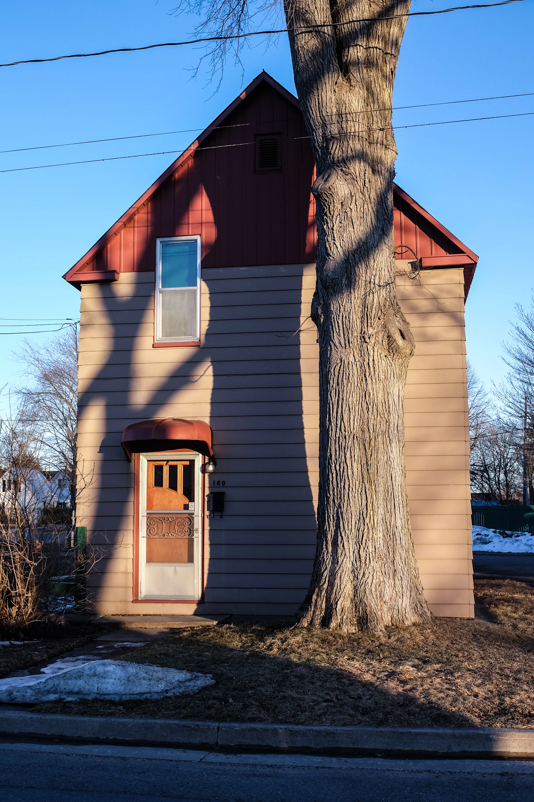 Tree in front of house