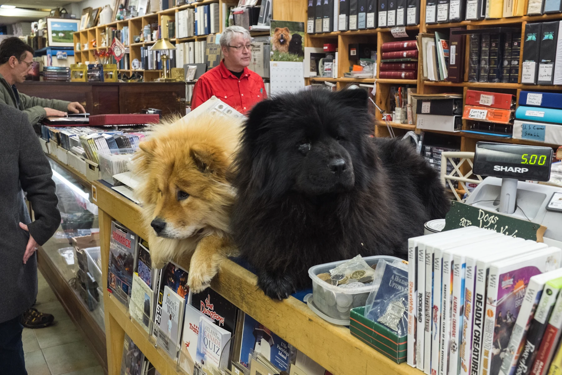 Dogs Loyalist city coin