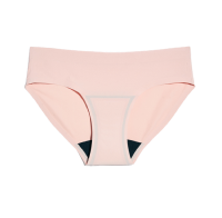 Bikini Underwear Icon