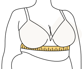 How To Measure Your Bra And Underwear Size With An Online