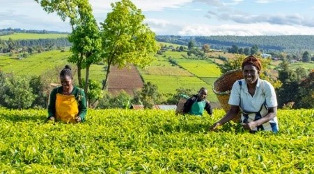 campaigning for climate justice