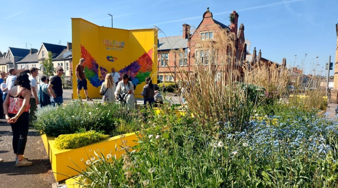 Summer in Nature Week 4