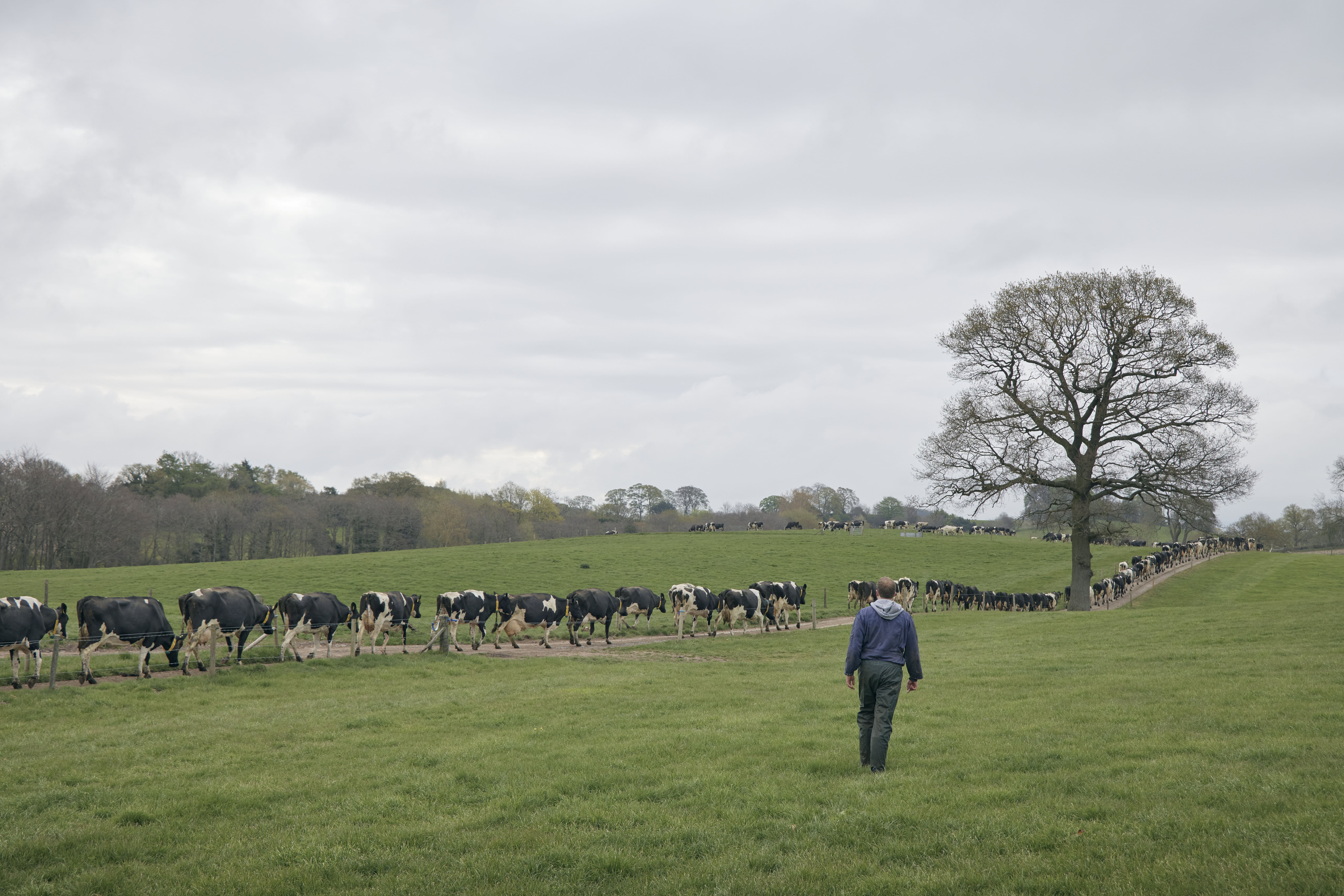 Tastes good. Does good.