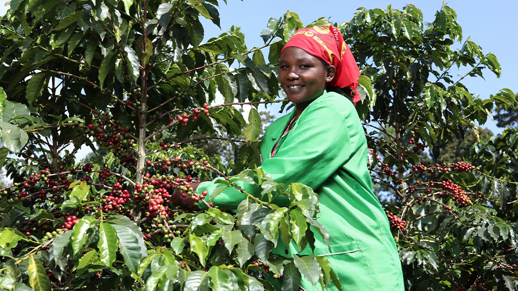 Fairtrade East Africa Youth Programme