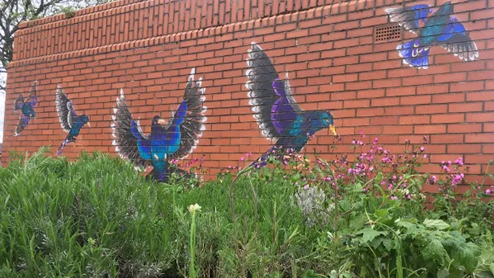 Choose a local cause to support in your community