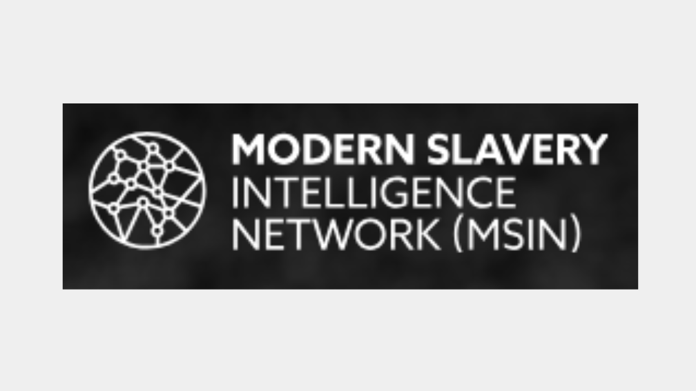 MSIN Logo