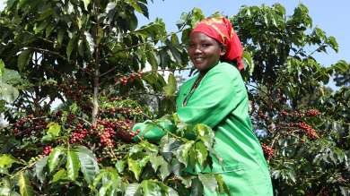 Fairtrade coffee hero