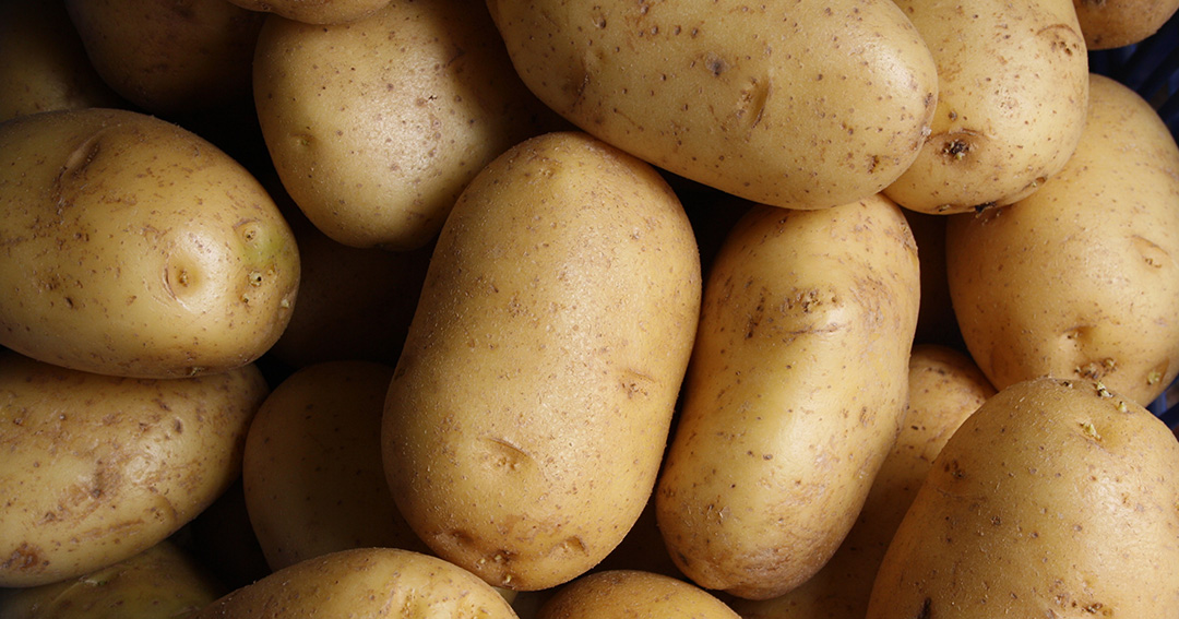 Understanding-carbohydrates-spotlight