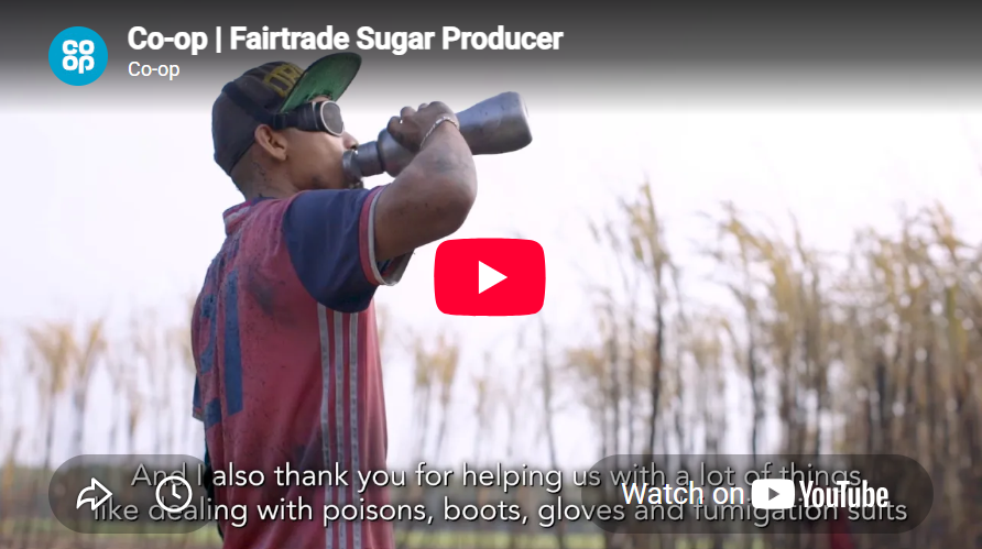 Fairtrade Sugar Producer Video Asset