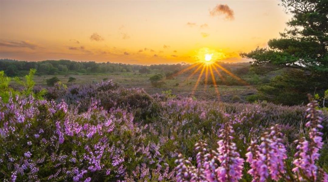 Hanging out in nature new image