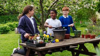 Children potting plants on a park bench outside