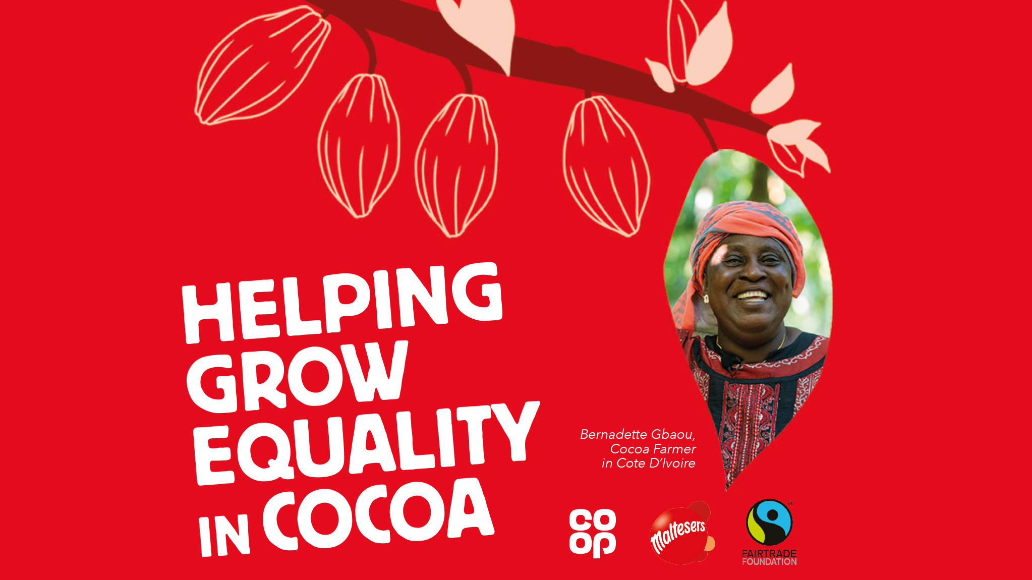 CMN-D-P13-85 - Maltesers Landing Page Banner (2)