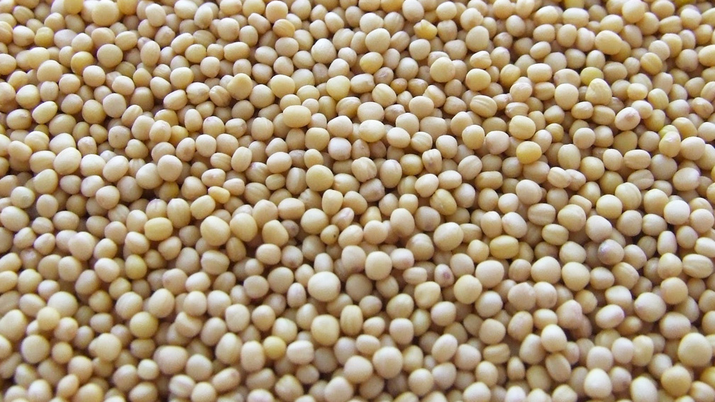 Soy beans commitment