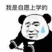 开学综合症由镭速云传解决