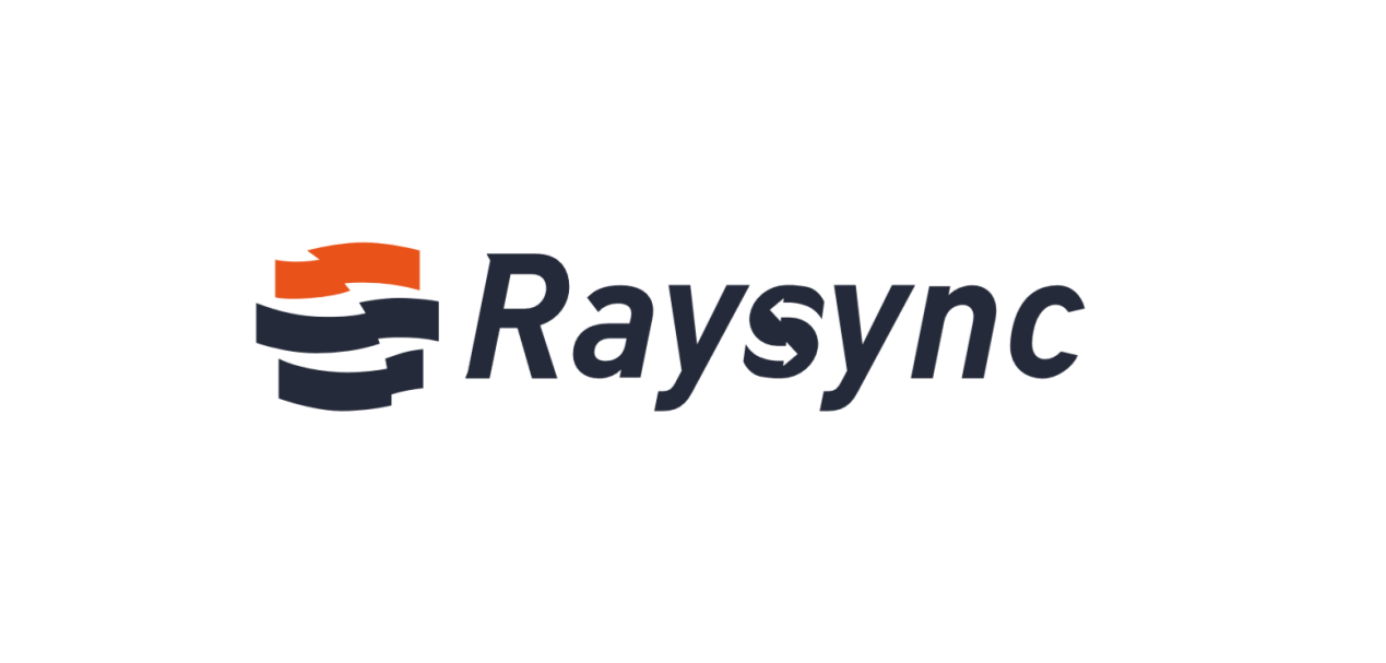 Raysync: An IT personnel perspective