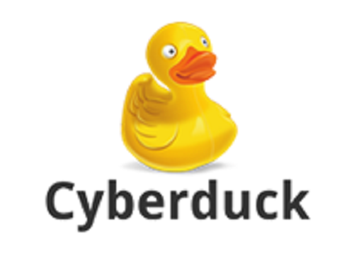 Cyber duck