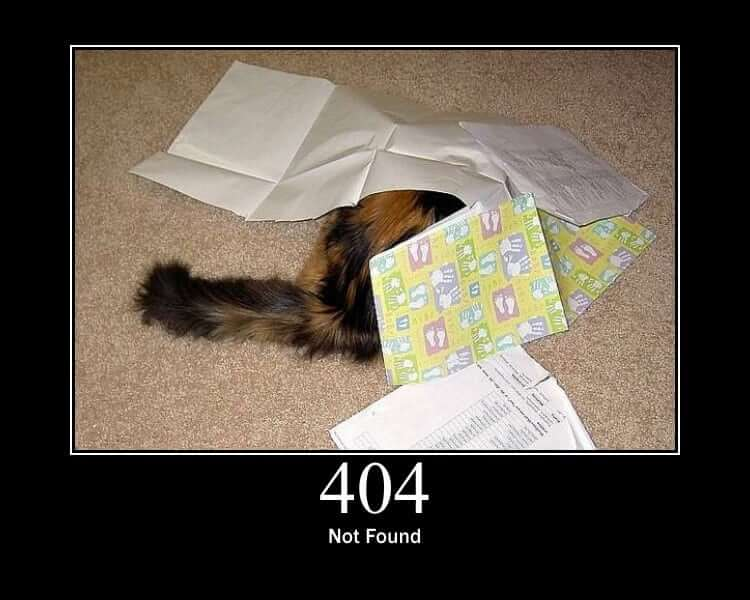 404 Cat not found. Source: https://http.cat/
