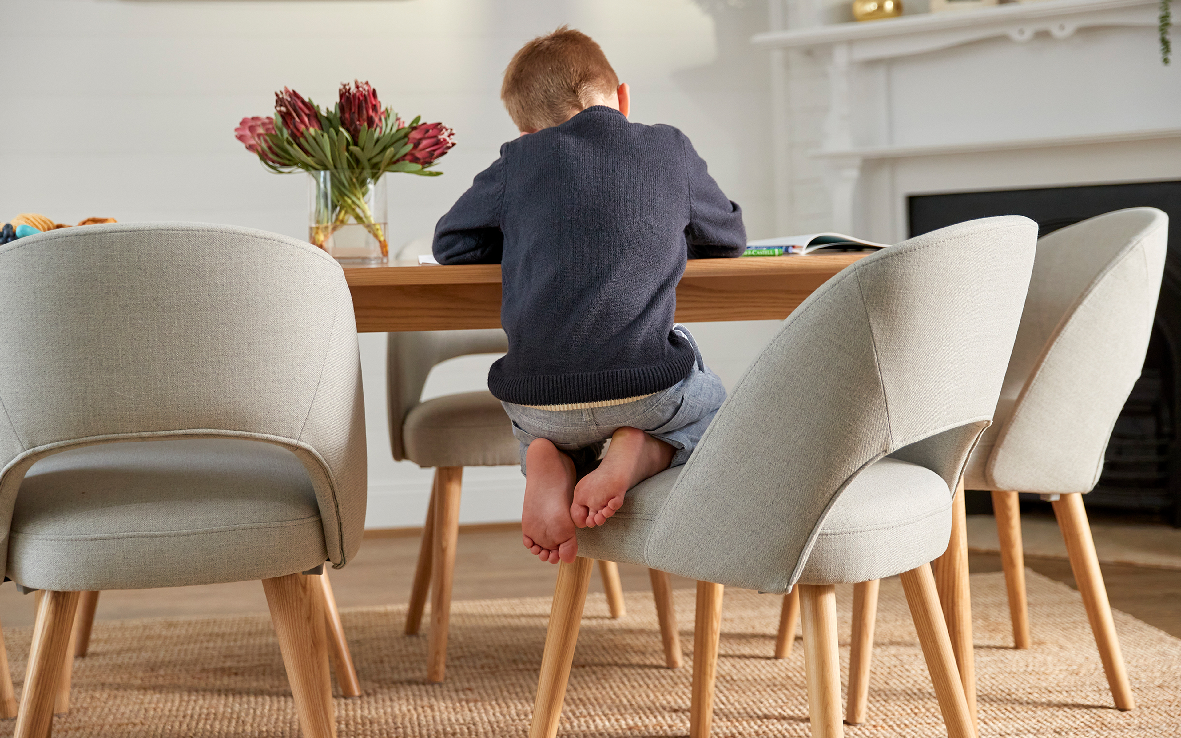 koala curved dining chair