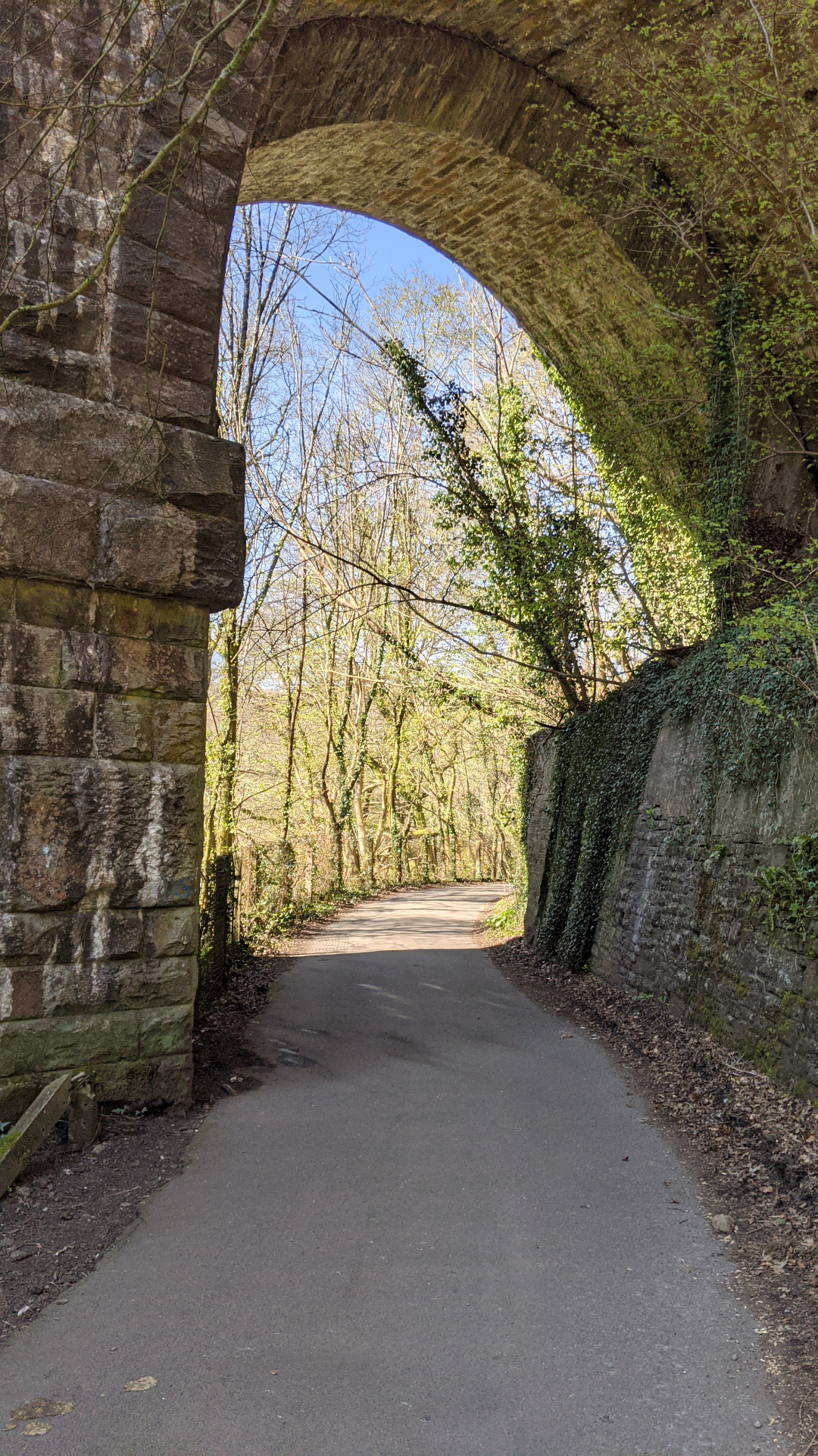 Goitre Coed viaduct (otherwise known as Quakers Yard viaduct) Ⓒ Emma Sparks