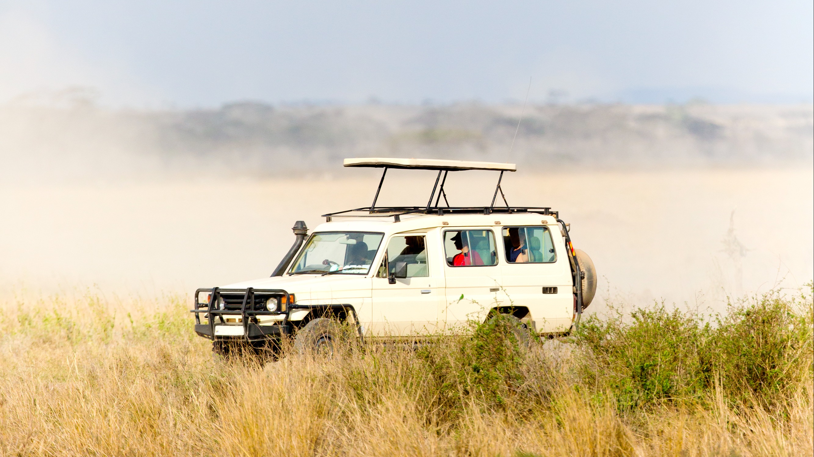 The Ultimate Safari Guide | Bright Trip