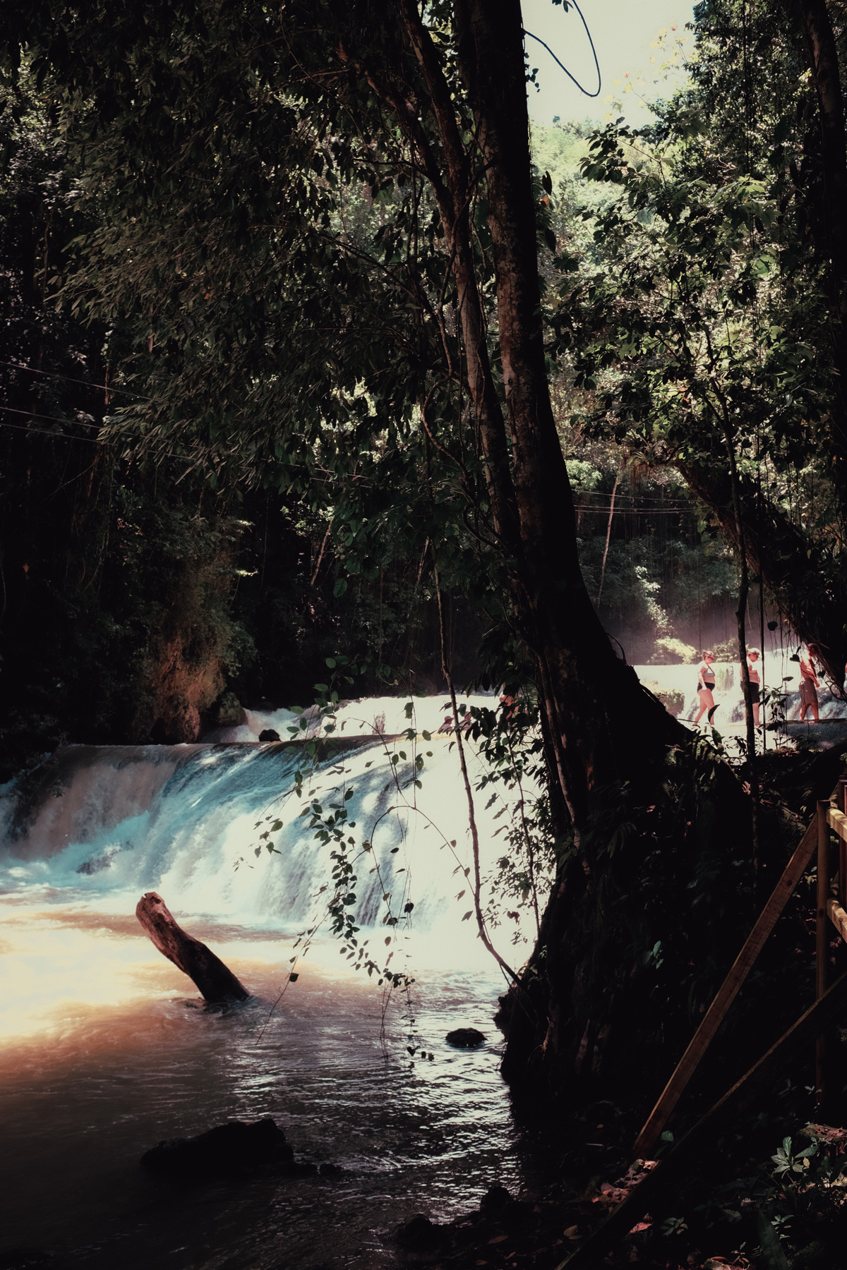 A waterfall in the forest at YS Falls, Jamaica