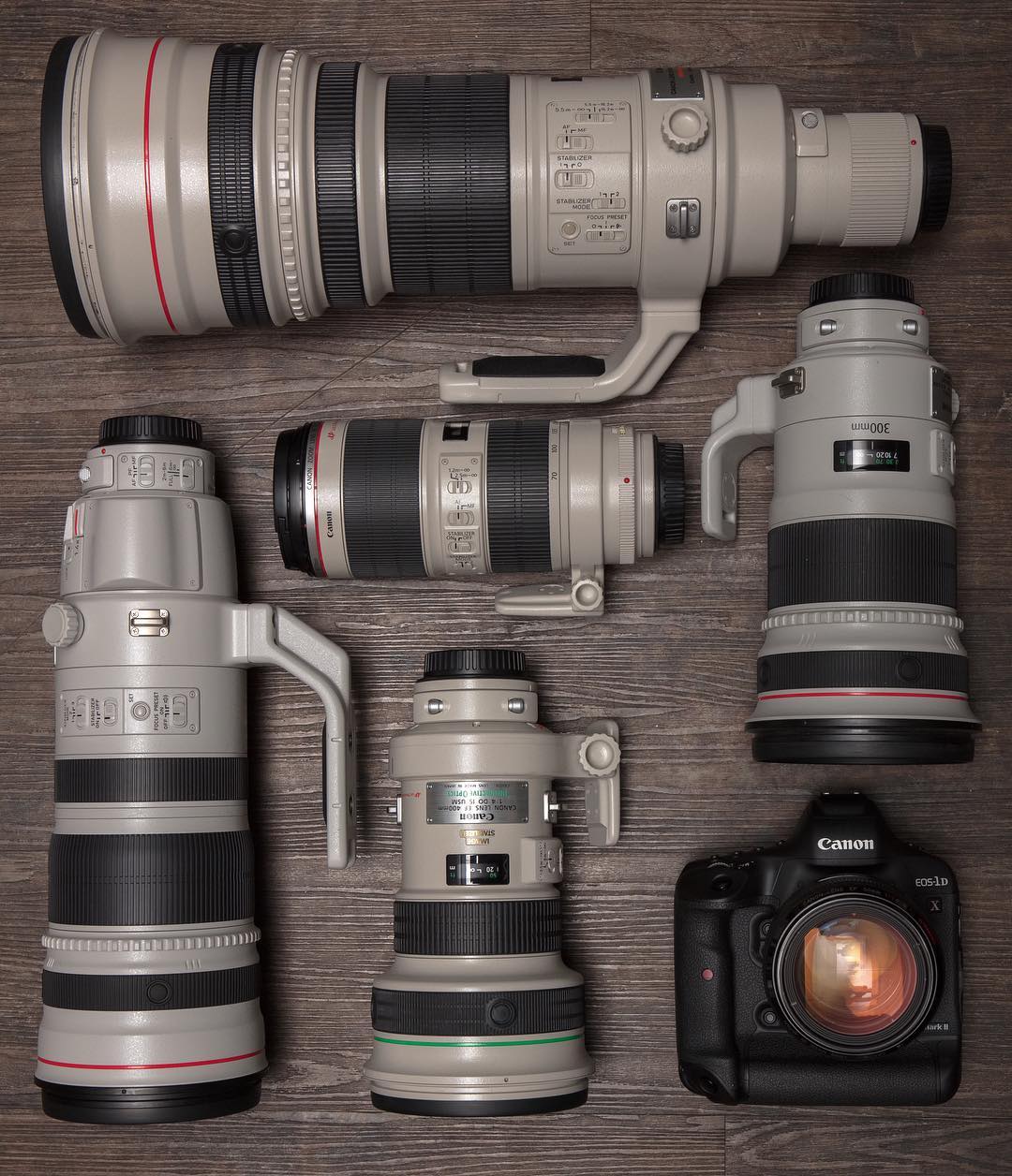 Reasons why you need a telephoto lens MPB
