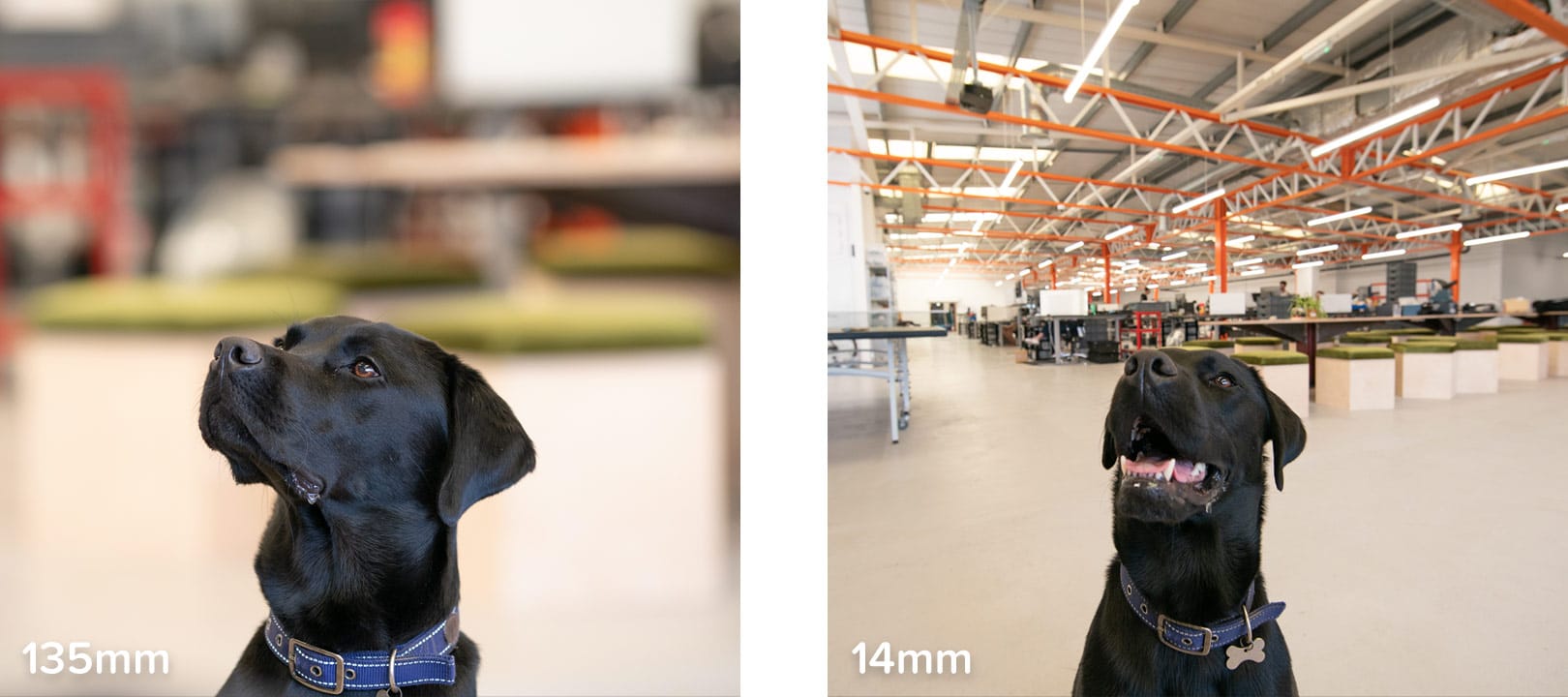 135mm lens and 14mm lens distortion comparison