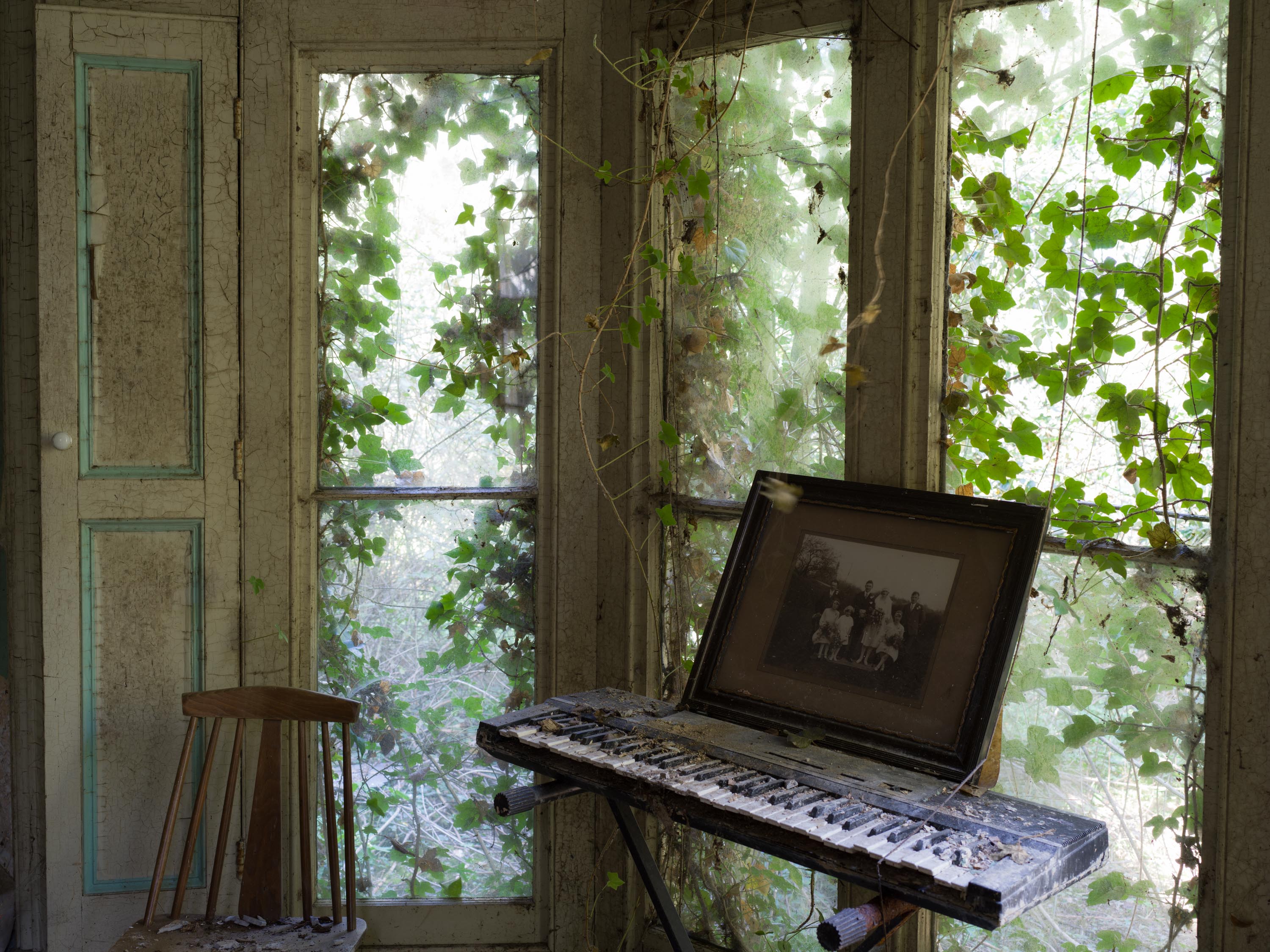 An old and broken keyboard in front of a window with plant overgrowth coming through