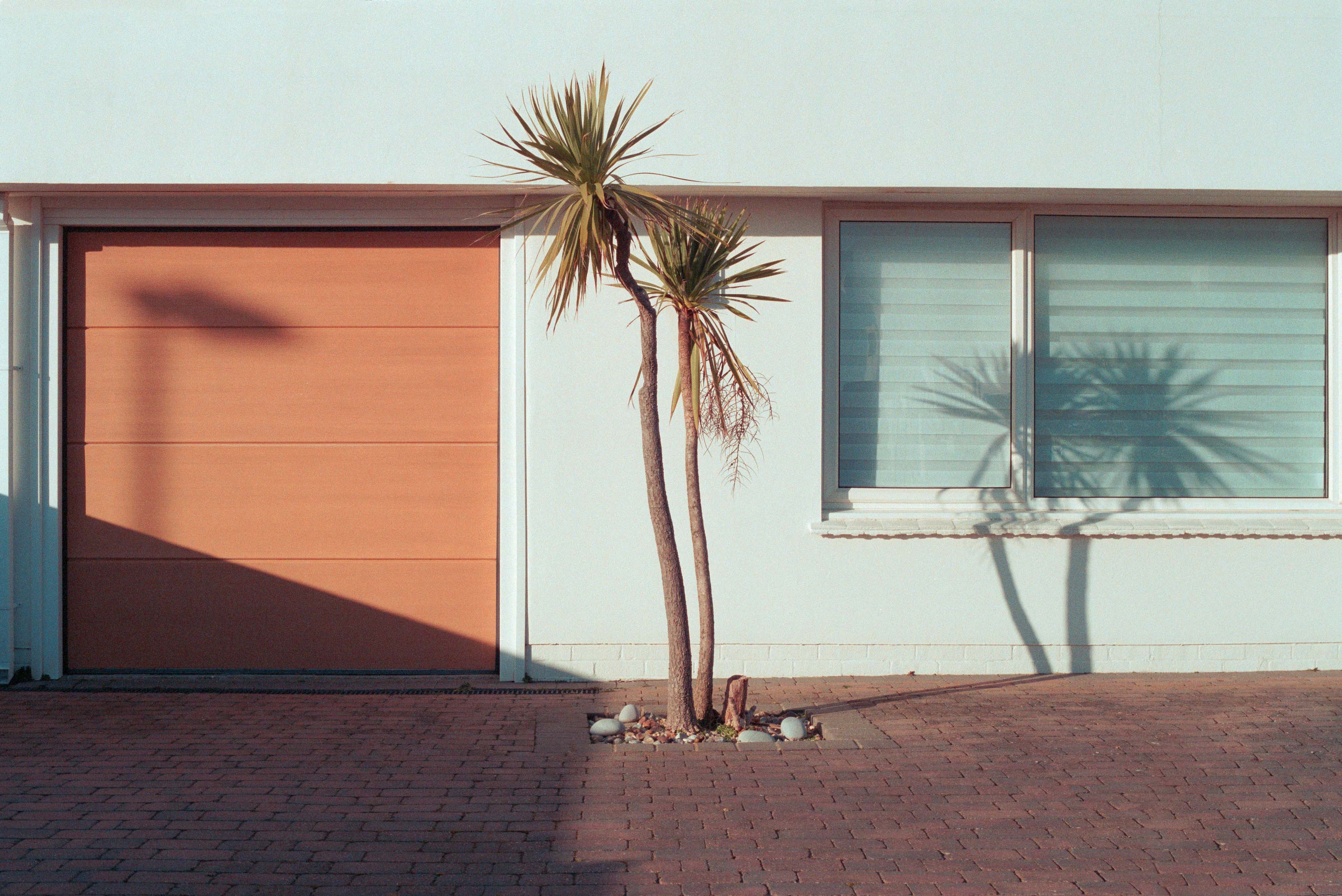 A golden hour shot of a garage door and palm tree