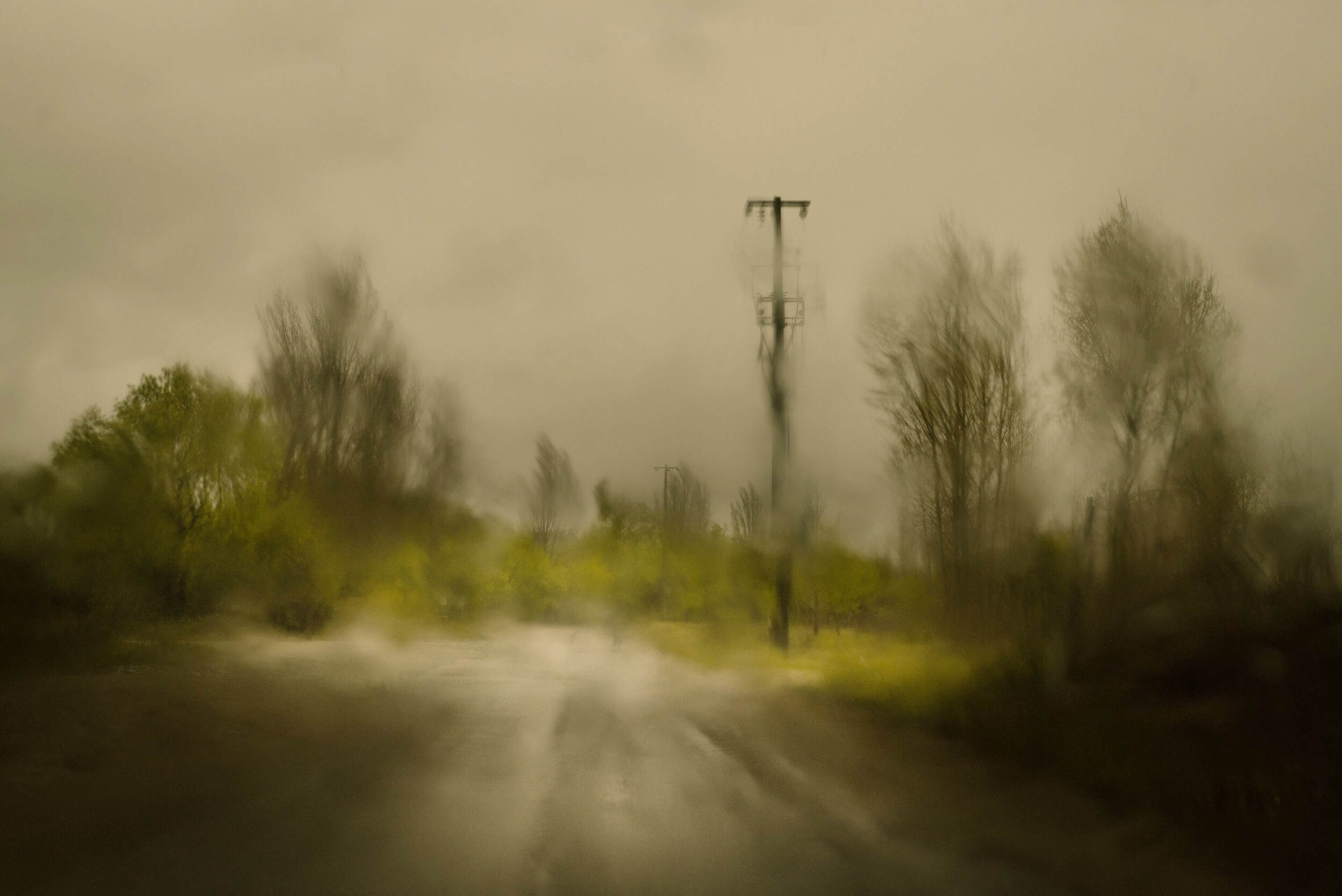 a foggy grey landscape