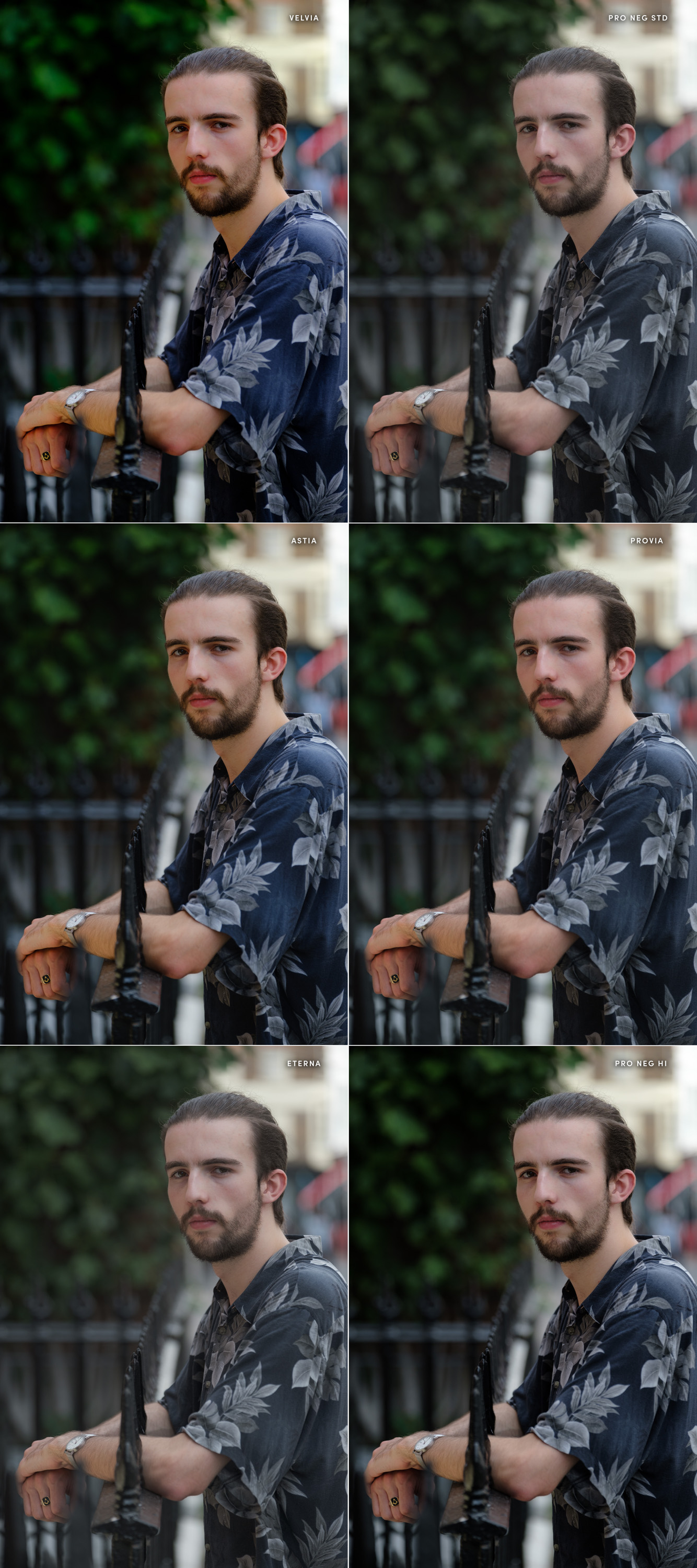 a portrait of Tom