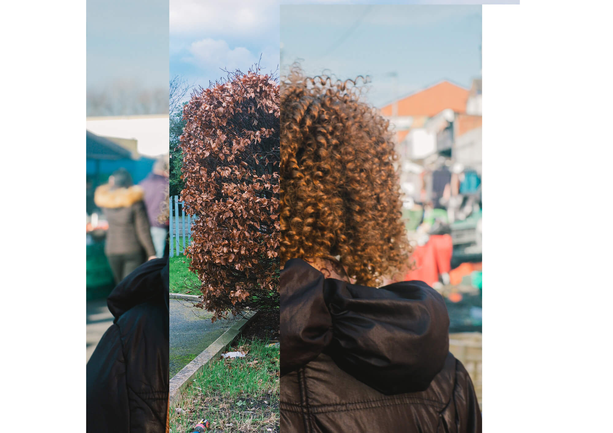 a collage of a bush and a woman's head
